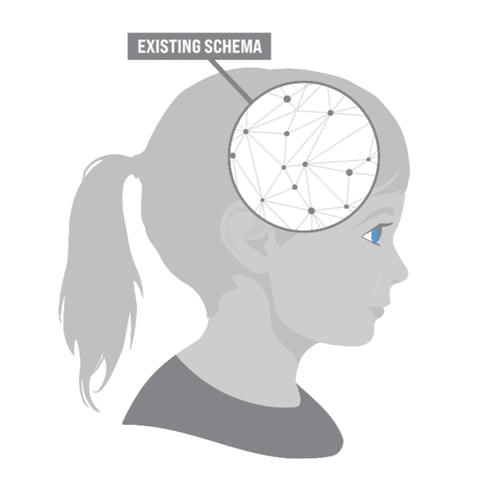 Existing Schema